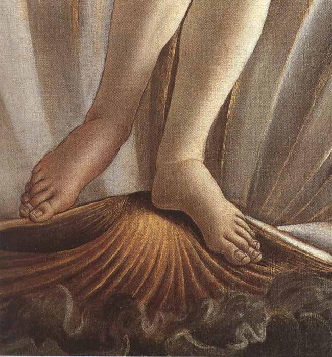 Sandro Botticelli The Birth of Venus (mk36)